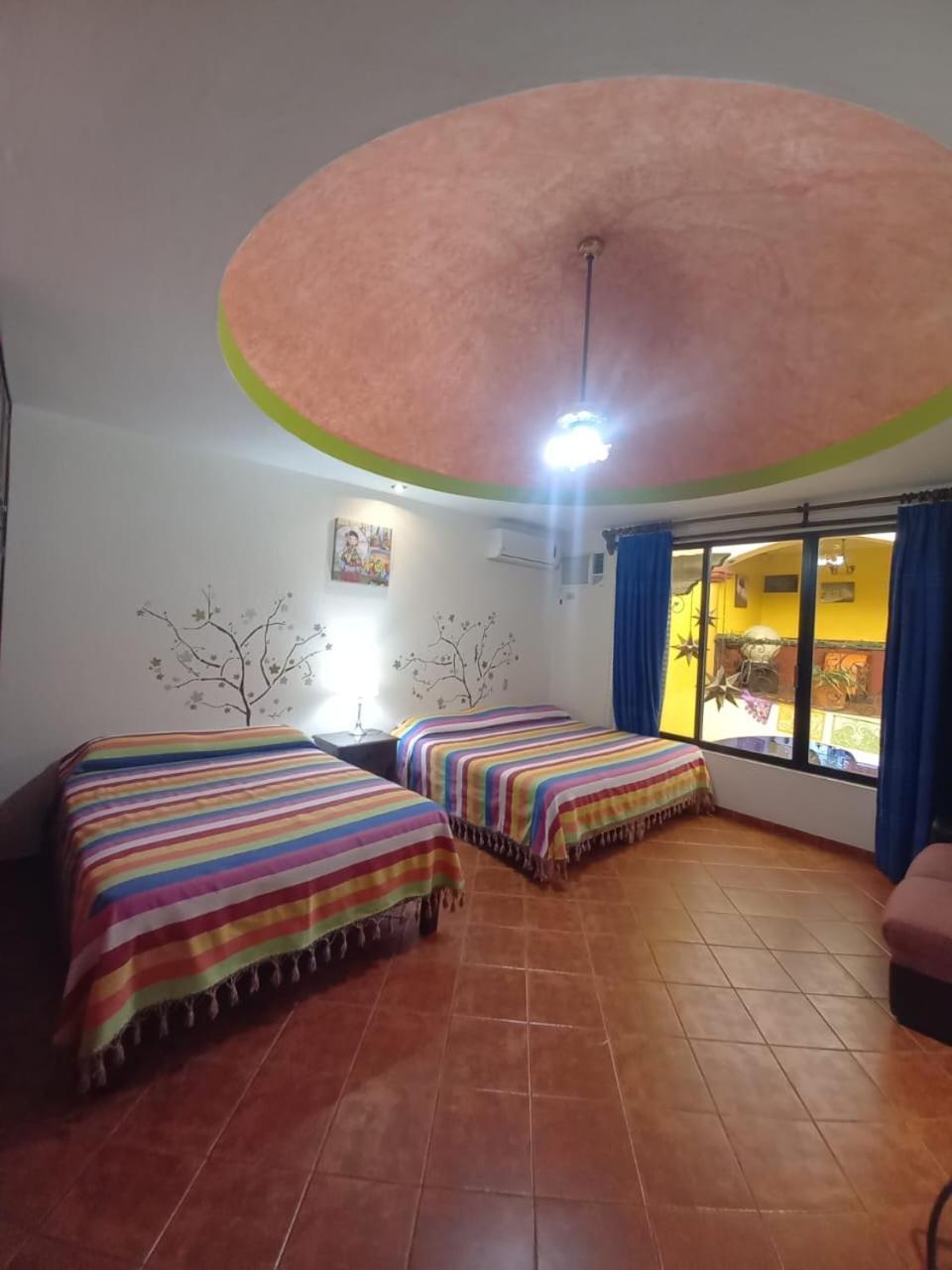 Hotel Dona Alicia Oaxaca エクステリア 写真